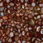 carnelian-brown